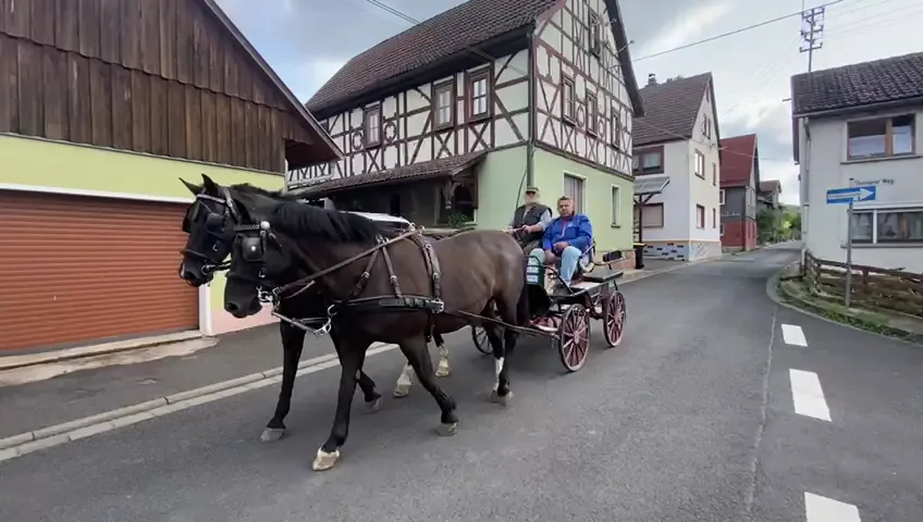 Sportpferde aus Kietz - Foto 3