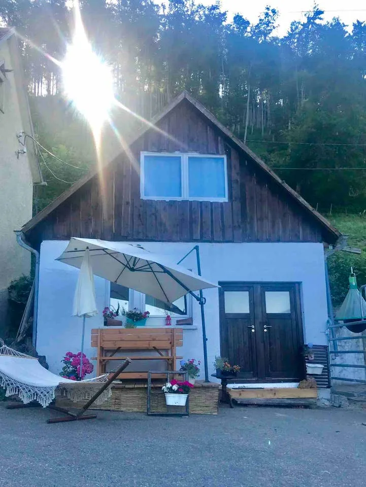 Wanderreitstation VillaRichter - Foto 3