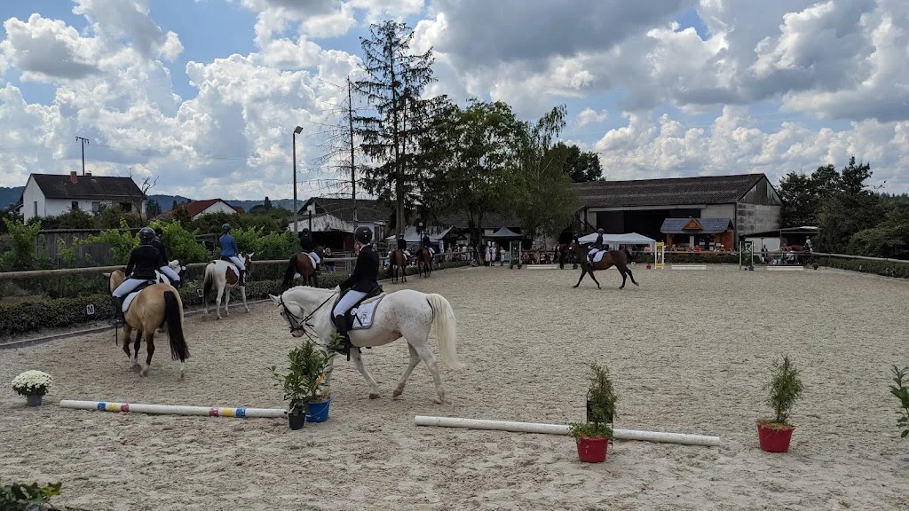 Melanie Bischoff - Centrum für Pferdesport GmbH - Foto 2