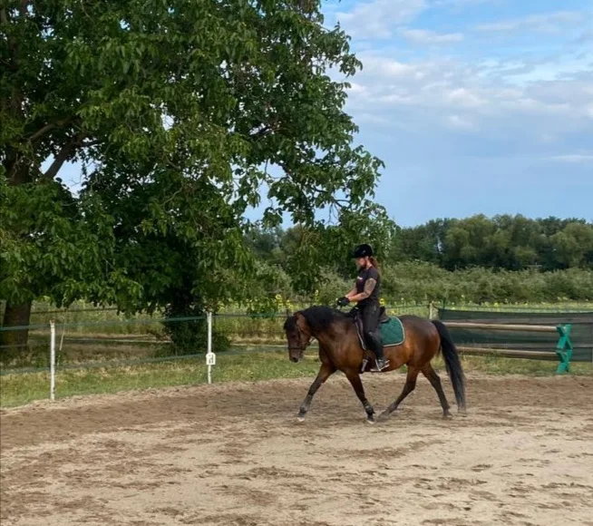 Golden Grape Ranch - photo 1