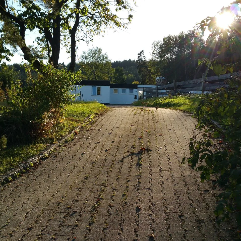 Gut Windrose - photo 3