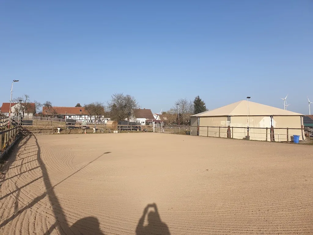 Islandpferdehof Hainbuche - photo 2