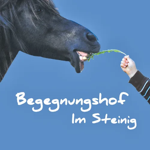 Begegnungshof im Steinig - Foto 1