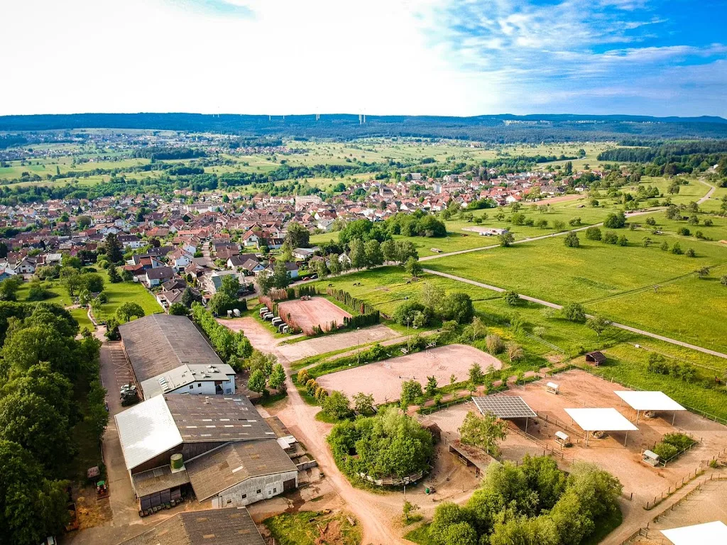 Begegnungshof im Steinig - Foto 2