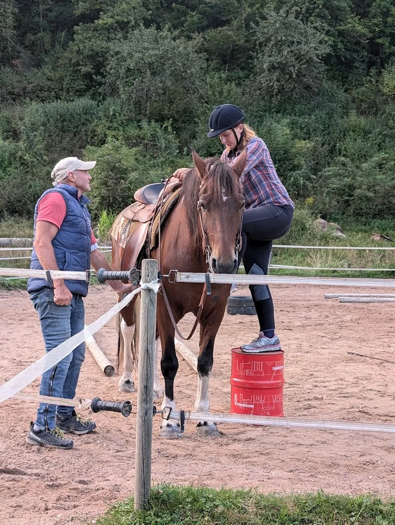 Little Adams Ranch, Pferdepensionsstall - photo 2