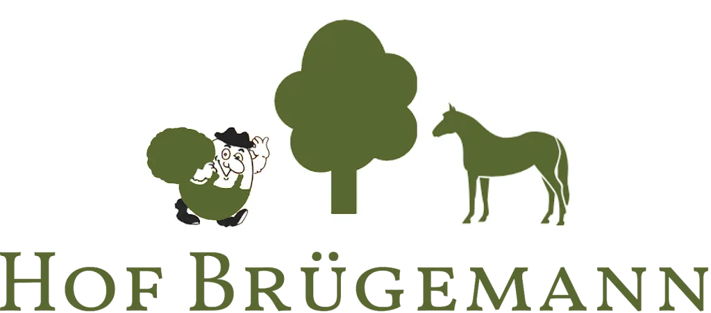 Brüggemanns Hof Offenstall - photo 2