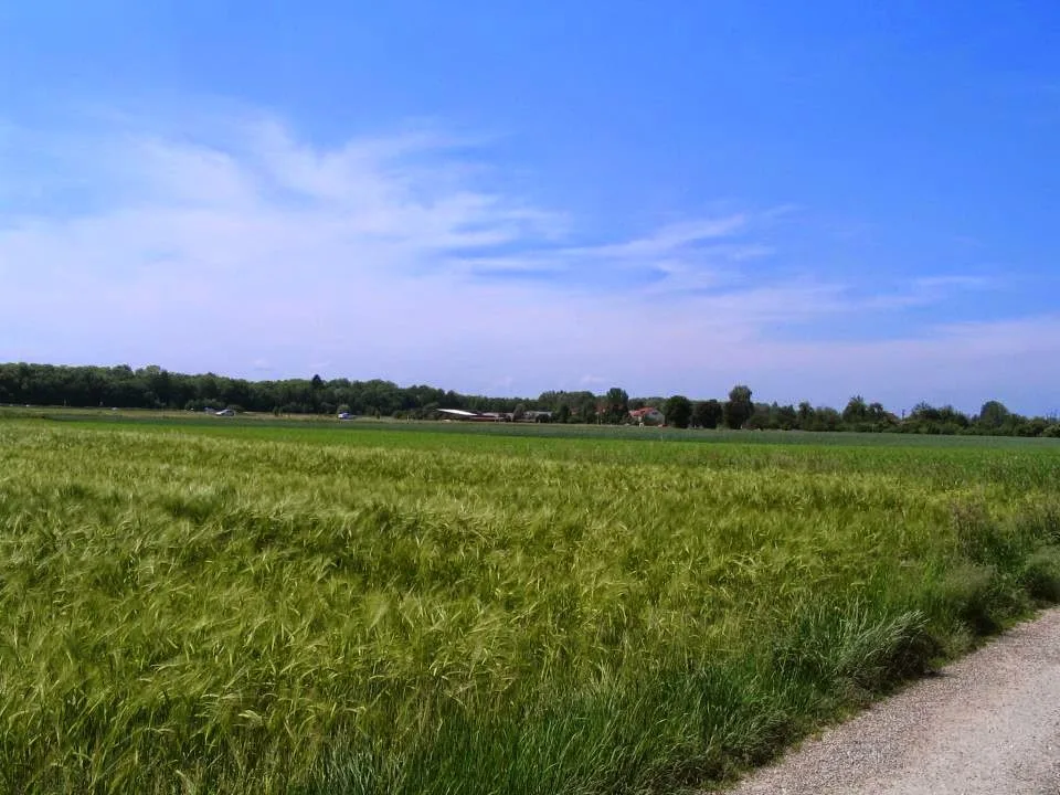 Aktivstall-Settele - photo 2