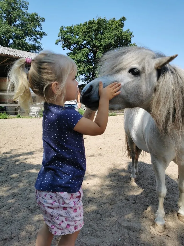 Ponyhof Schrollerhausen - Foto 2