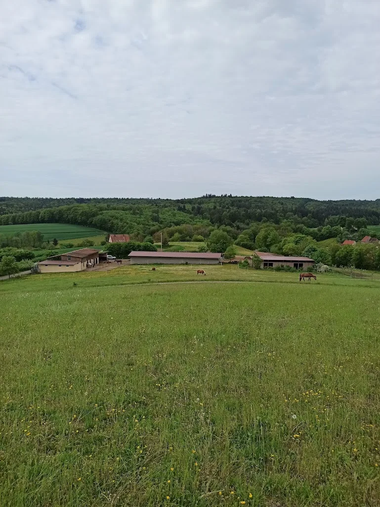SUNSHINE HILL RANCH - Foto 1