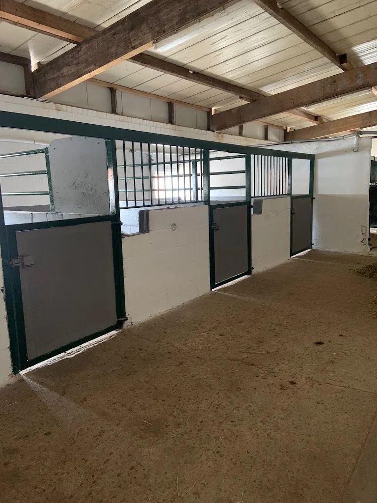Reitanlage Drieskes - HD Horses - photo 2