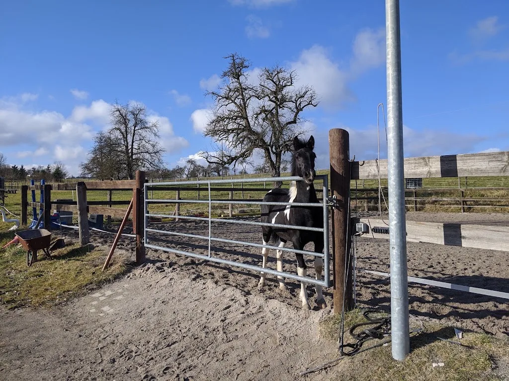 Reitstall Eckstein-Unger - Foto 2