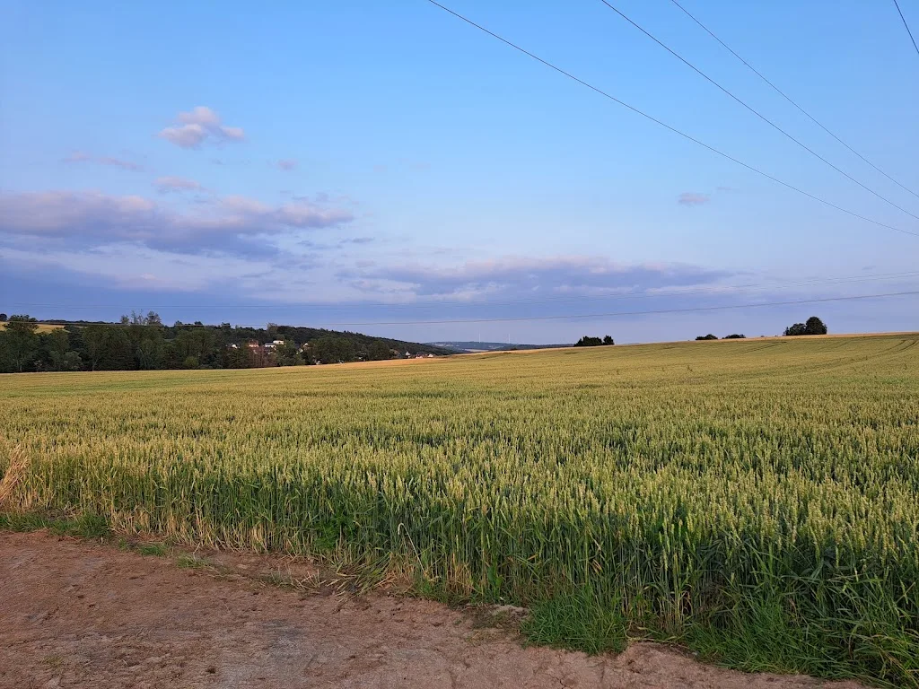 Ferienhof Rose - Foto 1