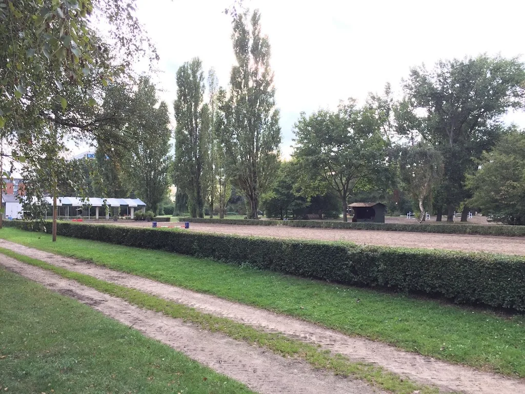 Reiterverein Kronsberg e.V. - Foto 2