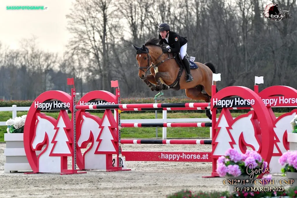 LG Sporthorses UG (haftungsbeschränkt) - Foto 2