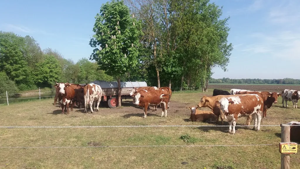 Westernstall GERNLINDEN - photo 2