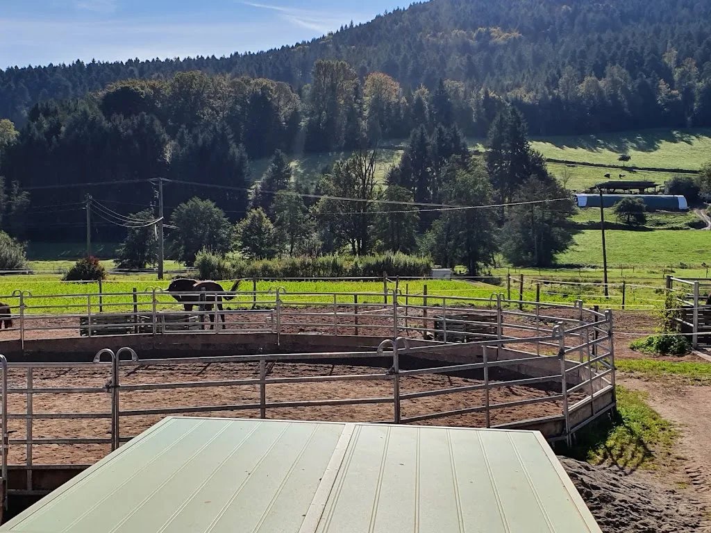 Reitanlage Schwörer Hof - photo 3