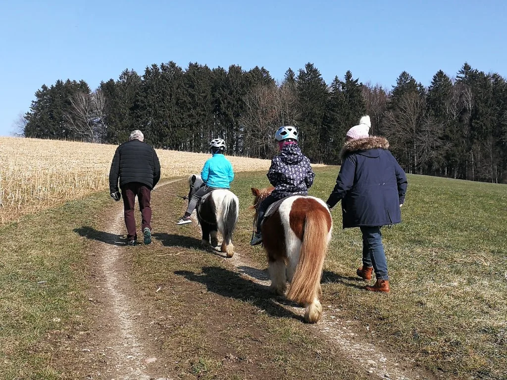 Susannes Ponyranch - photo 2