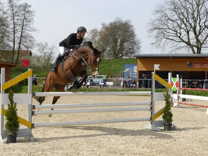 Reiterhof Podelsatz Sebastian Fix - Foto 2
