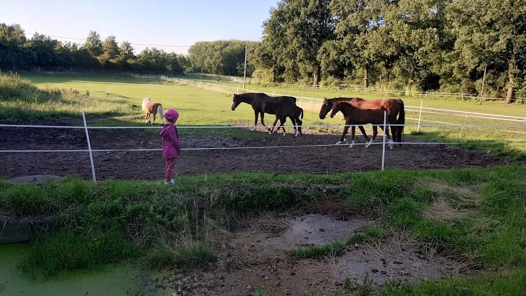 Xatosu Ranch - Foto 2