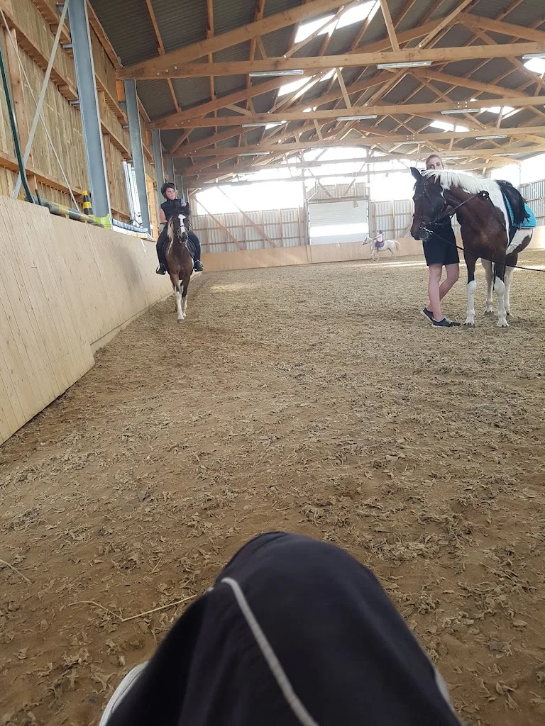 Reitstall Probst- Pferdesportverein Weyhausen e.V. - photo 2