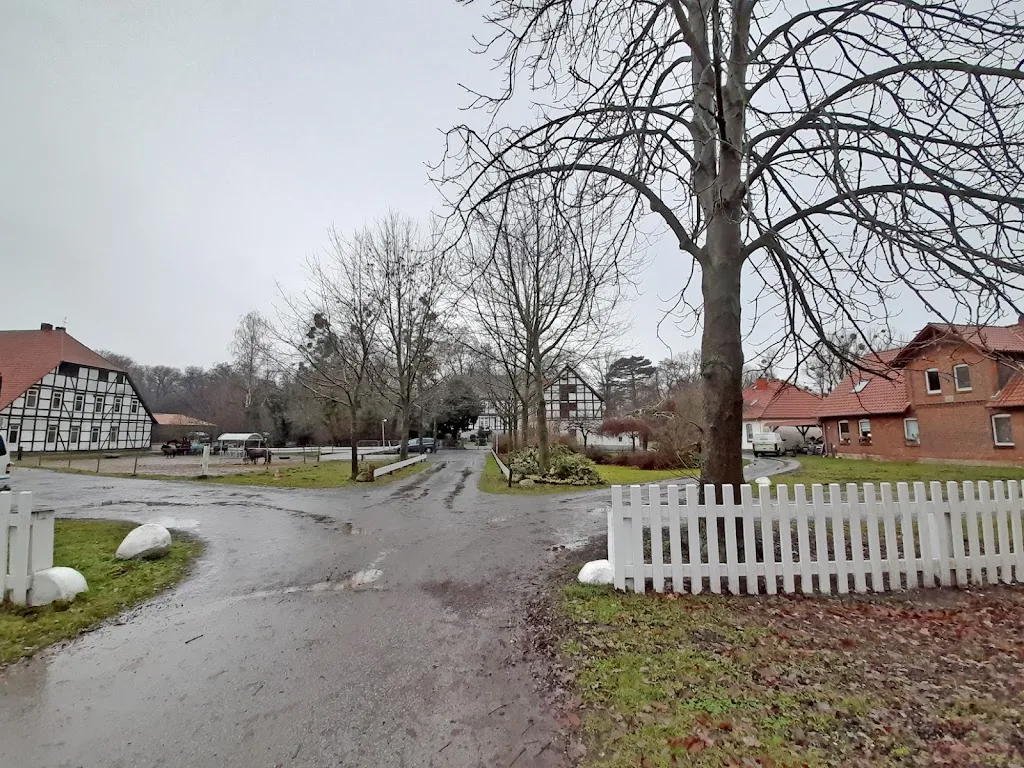 Dressur- und Ausbildungsstall Engelking - photo 1