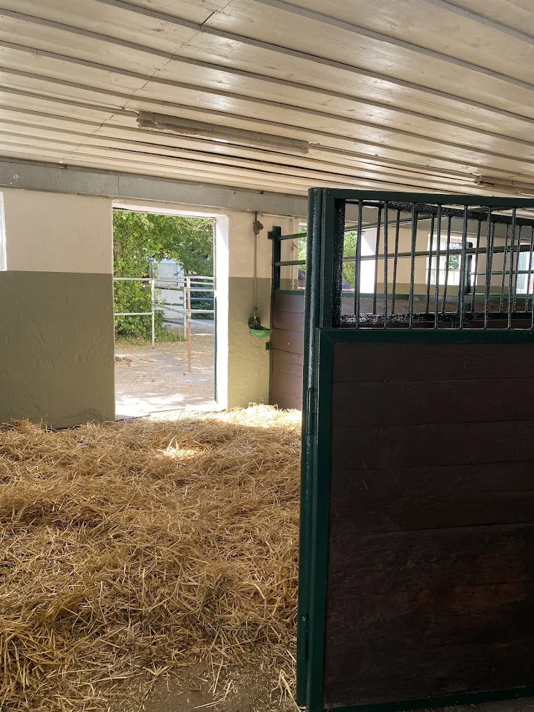 Reitsportzentrum am Michelsberger Wald - Foto 2