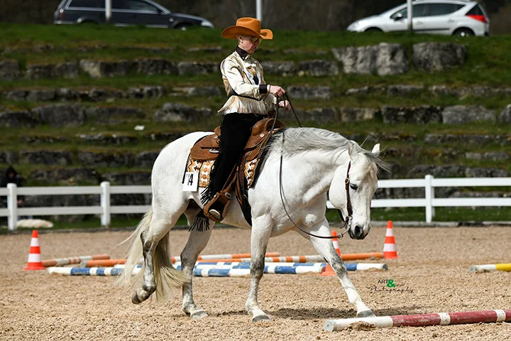 Reitanlage Hohe-Tanne - Foto 2
