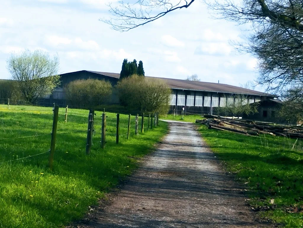 Reitanlage Hohe-Tanne - Foto 3
