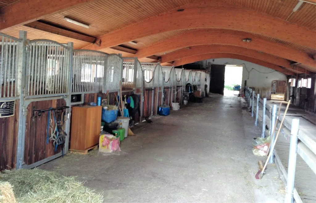 Pferdehof und Ponyreiten in Dürnau - Foto 2