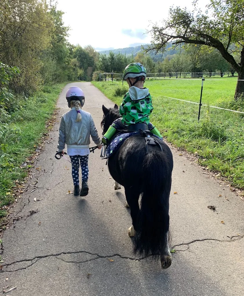 Pferdehof und Ponyreiten in Dürnau - Foto 3