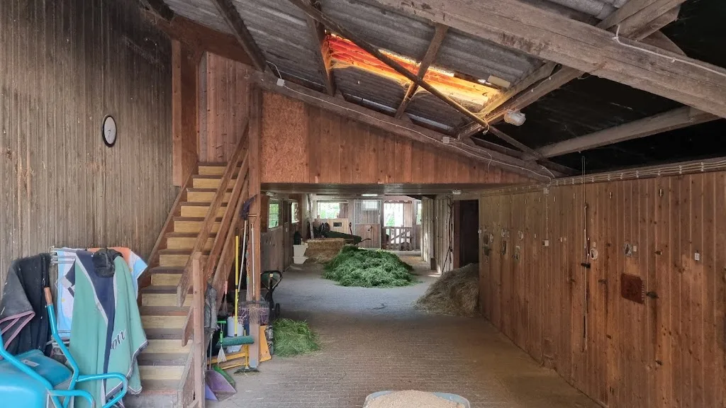 Pferdepension Riedel - photo 2