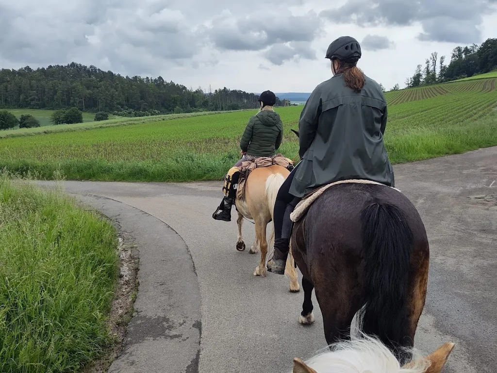 Ponyhof Bicketal - photo 1