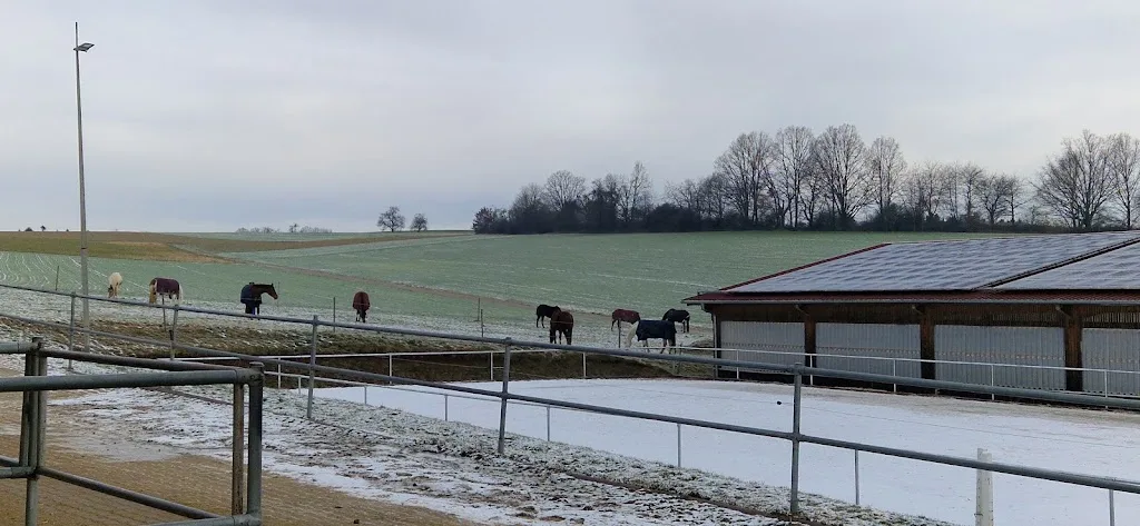 Pferdehof-Schlossblick - Foto 1