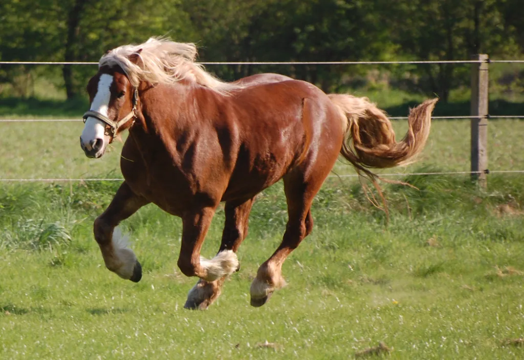 Mühlenhöfe - Foto 1