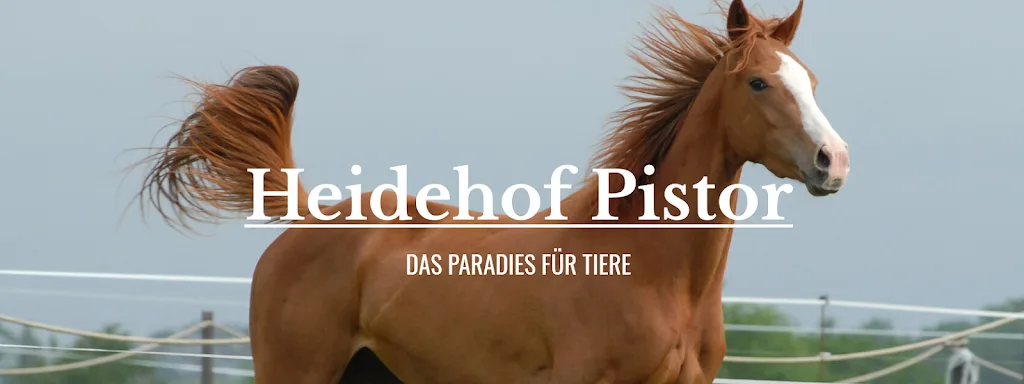 Heidehof Pistor - photo 1