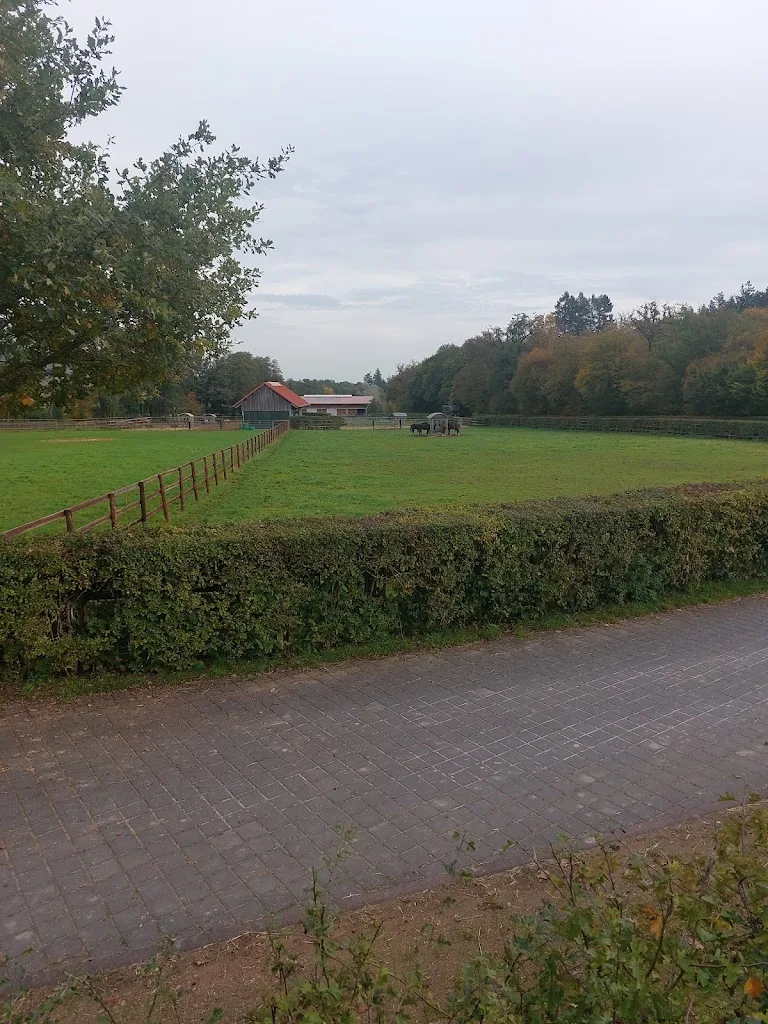 Hof Westerfeld - Foto 1