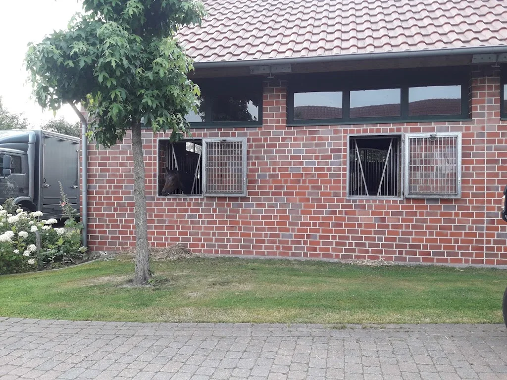 Hengststation Holkenbrink - photo 2