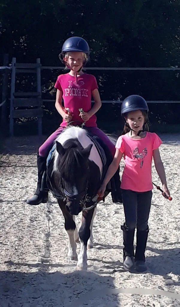 Maschalani Performance Horses - Foto 2