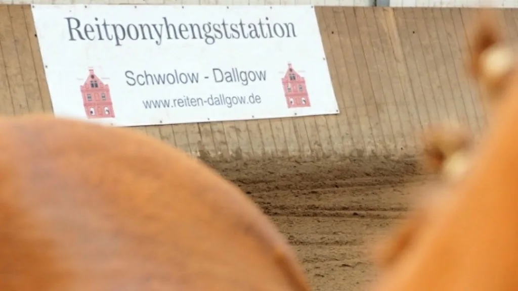 Pferdehof Heisler - Foto 3