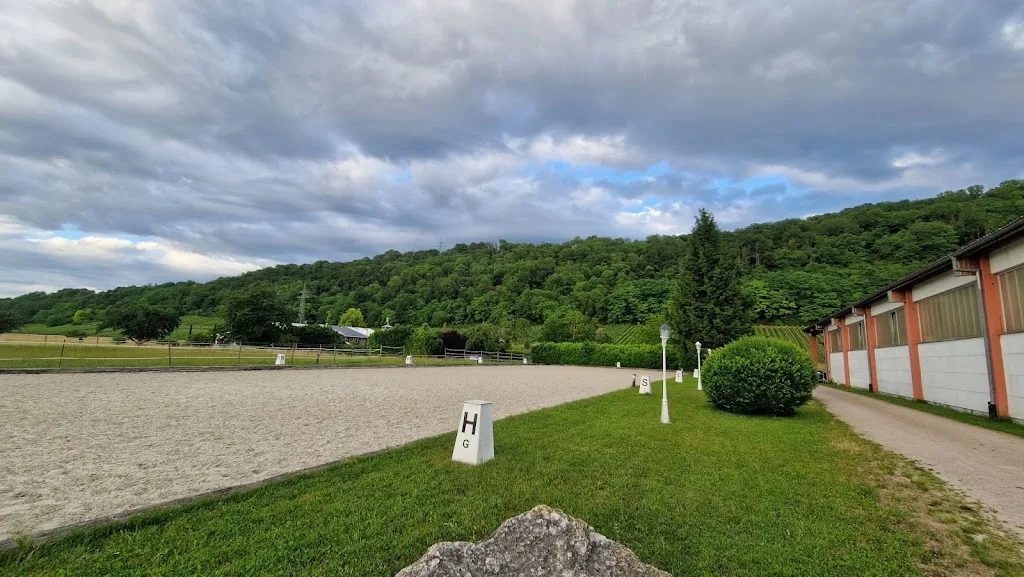 Meadow Ground Stables - Foto 1