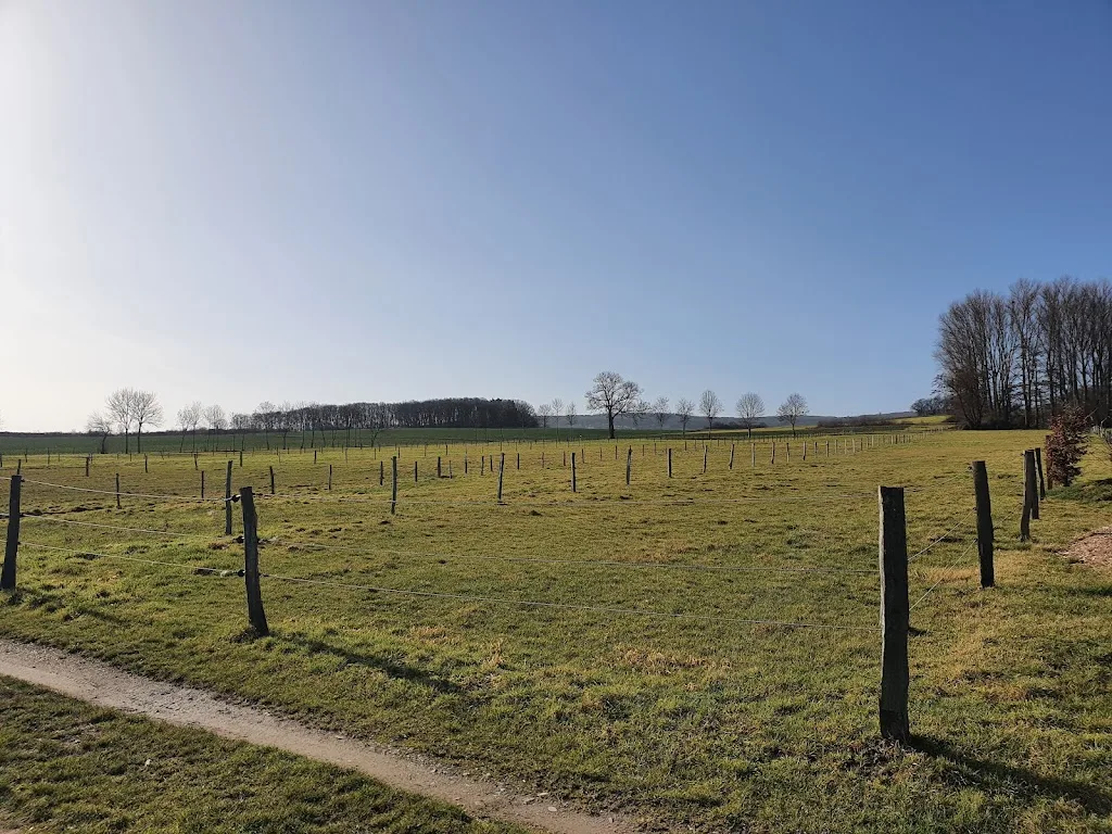 Pferdehof Beythal - photo 3