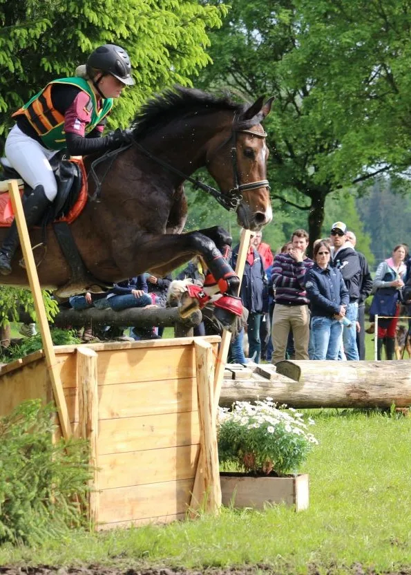 Reitclub Steinsee e.V. - photo 2
