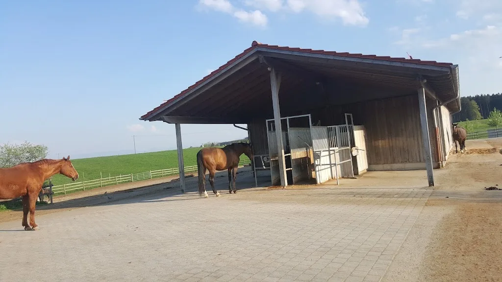 Reitclub Steinsee e.V. - photo 3