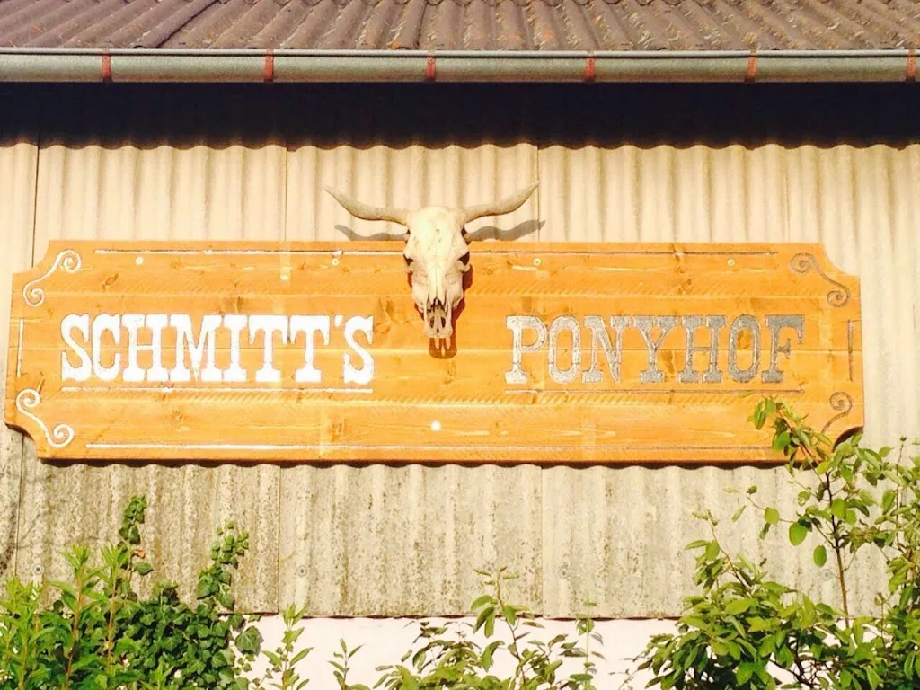 Schmitt's Ponyhof (Privatstall) - KEIN Ponyreiten ! - Foto 1