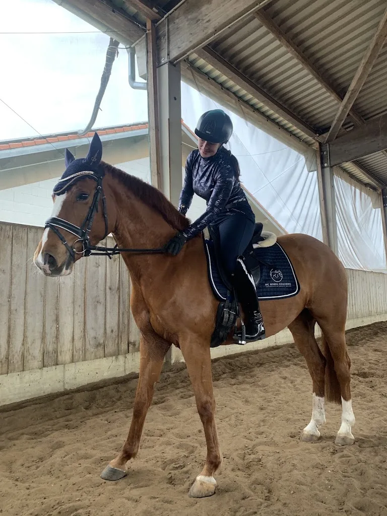 HC Horse Coaching - photo 1