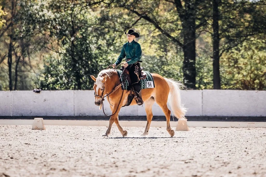 Reitschule Nordwind - photo 1
