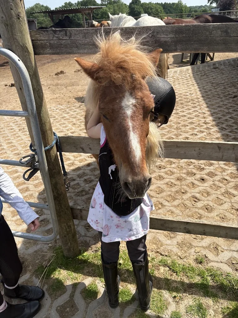 Reitschule Nordwind - photo 2