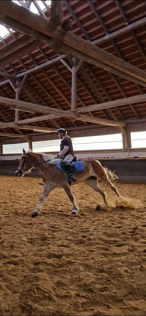 Reiten in Siferling - photo 2