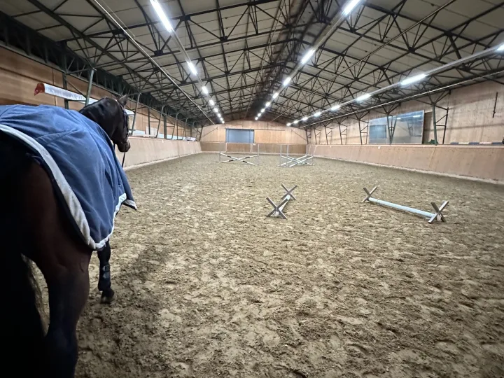 Köhler Müller Sportpferde - Foto 2