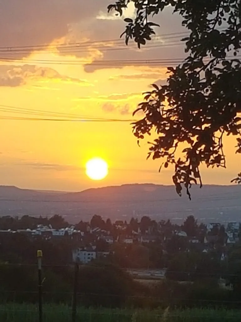 Hof Rheinblick - photo 2
